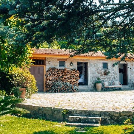 カミーニャ The Quixote House Bed & Breakfast エクステリア 写真